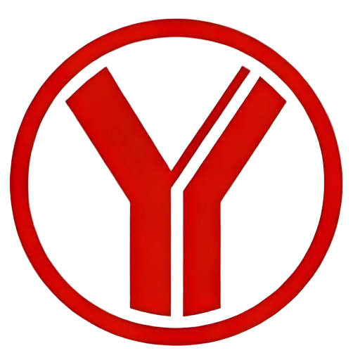 chinese auto supplier