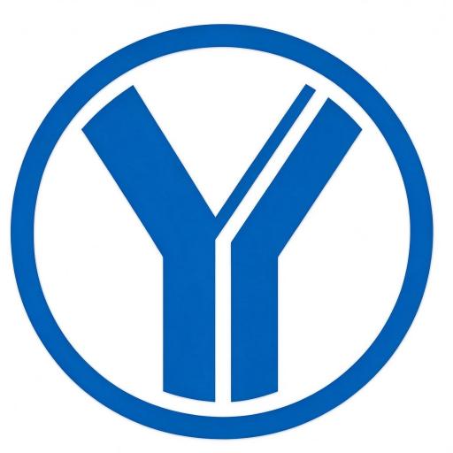 china car supplier